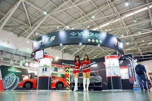 Triple S短彈簧 2017年臺灣國際汽車零配件展覽會的焦點之星